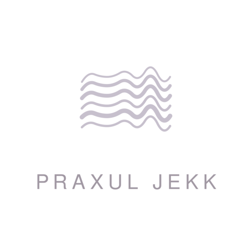 Логотип Praxul Jekk